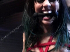 Spic kinky teen BDSM porn story