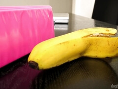 Arsch, Tussi, Grosser schwanz, Blasen, Schwanz, Muschi, Titten