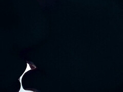 18 jaar, Kont, Bruinharig, Extreem, Hd, Lesbisch, Tiener, Tieten likken