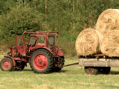 Анальный секс, Жопа, Брюнетки, Член, Сперма на лице, Секс без цензуры, Хд, На природе