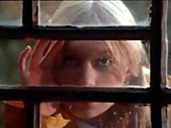 Corrida, Corridas, Francés, Clasico