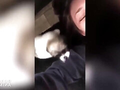 素人, デカパイ, チン, 医者, ドイツ人, 自家製, 自然山雀, オーガズム