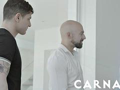 Язык в попке, Брюнетки, Затыкание рта, Геи, Межрасовый секс, Латиноамериканки, Мускулы, Тату