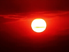 Grote kont, Blond, Brits, Bruinharig, Tsjechisch, Hardcore, Strippen, Tatoeage