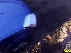 Enthousiasteling, Auto, Hondjeshouding, Likken, Buiten, Gezichtspunt, Kut duiken, Uniformpje