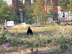 Chica, Penetracion con dedos, Despelote, Orgasmo, Al aire libre, Coño, Afeitado, Bajo la falda