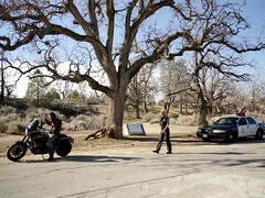 Enthousiasteling, Amerikaans, Grote kont, Hondjeshouding, Sperma in gezicht, Hardcore, Masturbatie, Tatoeage