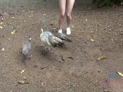 Playa, Penetracion con dedos, Novia, Público, Afeitado, Tetas, Voyeur, Mojado