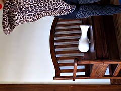 Travestis, Homosexuelle