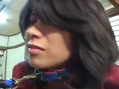 Азиатки, Садо мазо, Секс без цензуры, Японки