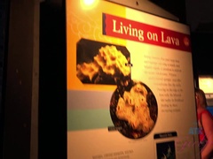 Enthousiasteling, Blond, Orgasme, Klein, Openbaar, Kut duiken, Mager, Tieten likken