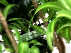 Africano, Culo grande, Mamada, Clásico, Polla, Ébano, Hd, Pezones