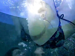 アナル, デカパイ, 茶髪の, チン, 淫乱熟女