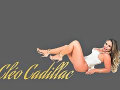 Amateur, Sucer une bite