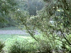 イく瞬間, フランス人, オージー, ヴィンテージ