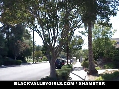 Schwarz, Besamung, Spermaladung, Hundestellung, Schwarz, Interrassisch, Pov, Jungendliche (18+)