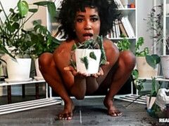 Noir ébène, Béant, Poilue, Masturbation, Solo, Adolescente, Jouets, Webcam