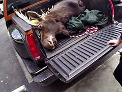 Amateur, Sucer une bite, Brunette brune, Branlette thaïlandaise, Pov, Chatte, Tatouage, Plan cul à trois