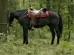 Amateur, Anal, Holandés, Orgía, Al aire libre, Trio, Turco