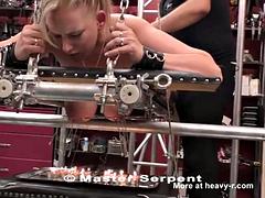 Master serpent betty hanging tits skewered