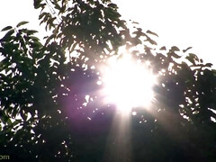 Asiático, Culo, Chica, Mamada, Morena, Sexo duro, Coño, Tetas