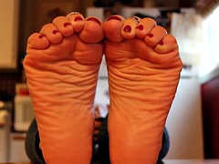 Pies, Pov, Adolescente