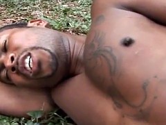 Anal, Negro, Corridas, Ébano, Gay, Sexo duro, Lamidas, Al aire libre