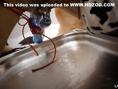 Submissive Fitgirl Is Tied Up Like A Dog And Made To Cum Multiple Times Final Creampie