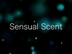 Lingerie, Jarretelles