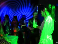 Dingue, Érotique, Groupe, Branlette thaïlandaise, Hard, Orgie, Fête, Nénés