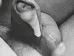Bears and Chubs Cumpilation