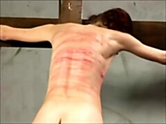 Cul, Bondage domination sadisme masochisme, Sucer une bite, Plantureuse, Mignonne, Mamelons, Fessée, Nénés