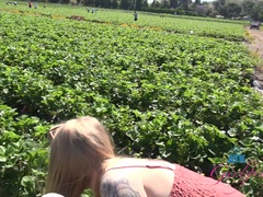 Большая жопа, Блондинки, Пальцем, Крошечные, От первого лица, Киски, Бритые, Сиськи