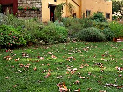 Nana, Pom pom girl, Lesbienne, Léchez, Chatte, Adolescente, Nénés