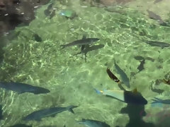 彼女, オーガズム, ハメ撮り, 公共, オマンコ, おもらし, オッパイの, 濡れ