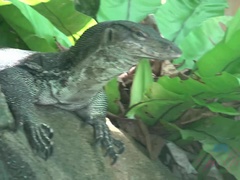 Любители, Ванна, Минет, Подружка, На природе, На публике, Киски, Сиськи