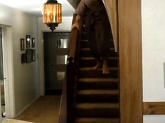 Milf, Orgie, Stiefmutter, Vintage