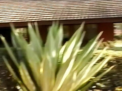 アナル, ブロンド