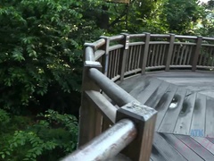 Arsch, Besamung, Fussjob, Freundin, Pov, Muschi, Rasiert, Titten