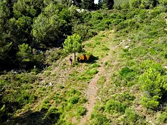 Geschnappt, Paar, Hardcore, Im freien