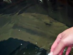 Beauté, Gros seins, Bikini, Blonde, Fille latino, Masturbation, Transsexuelle