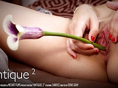 18 jahre, Blondine, Süss, Hundestellung, Hd, Socken, Solo, Jungendliche (18+)