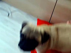 のぞき