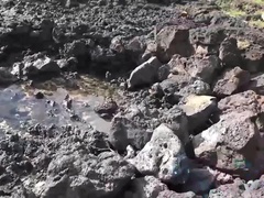 Любители, Пляж, Блондинки, Хд, Пирсинг, От первого лица, Душ, Сиськи