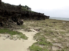 Cul, Sucer une bite, Plantureuse, Tir de sperme, Mignonne, Gorge profonde, Hd, De plein air