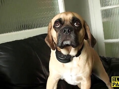 Británico, Estilo perrito, Hd, Lencería, Orgasmo, Perforación, Nalgadas, Tatuaje