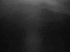 Lieveling, Grote lul, Sperma shot, Vingeren, Kut duiken, Kousen, Tieten likken, Onder de rok