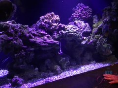 Enthousiasteling, Vriendin, Harig, Orgasme, Buiten, Gezichtspunt, Kut duiken, Tieten likken