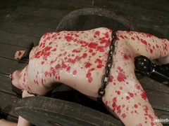 緊縛, 茶髪の, 服従, 足, 指いじり, 陵辱, 小柄, お仕置き