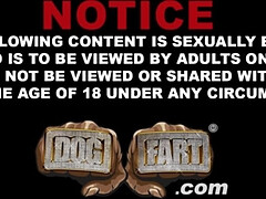 Grote lul, Grote mammen, Zwart, Pijpbeurt, Bruinharig, Groepseks ejactulatie, Handbeurt, Interraciaal